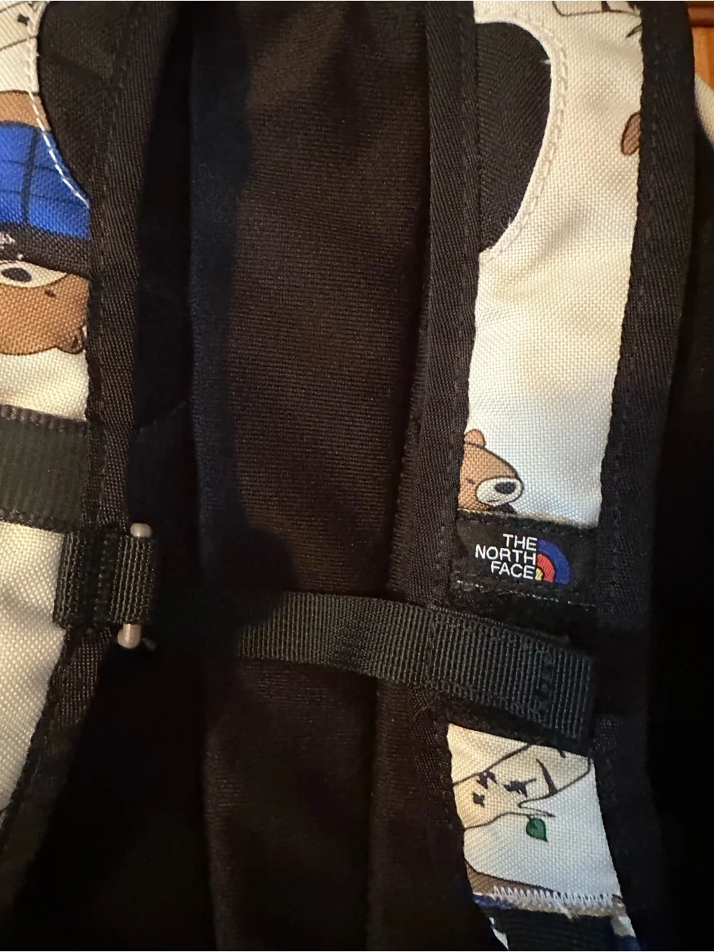 The North Face playful bear